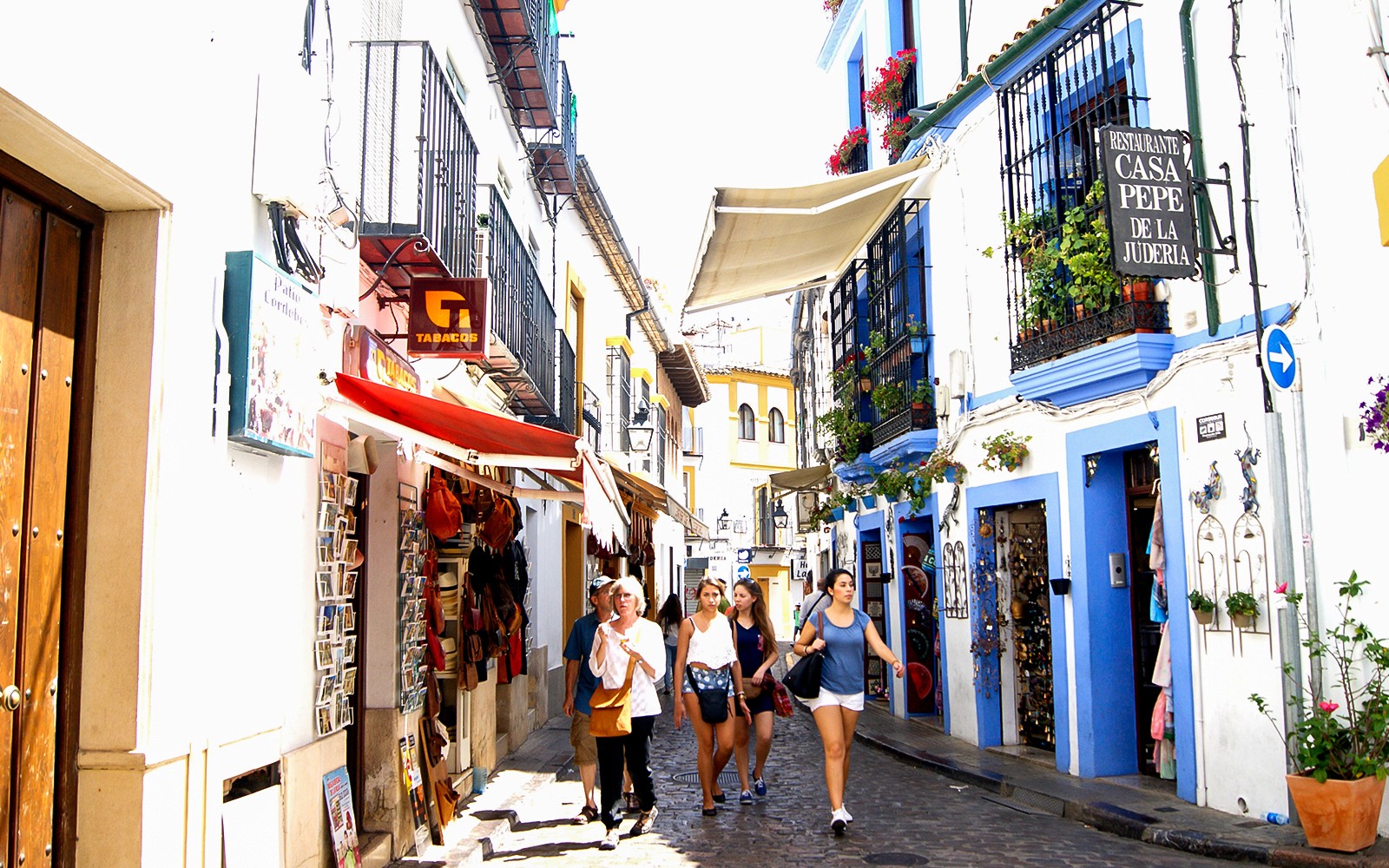 Full-Day Small Group Guided Tour of Cordoba from Seville