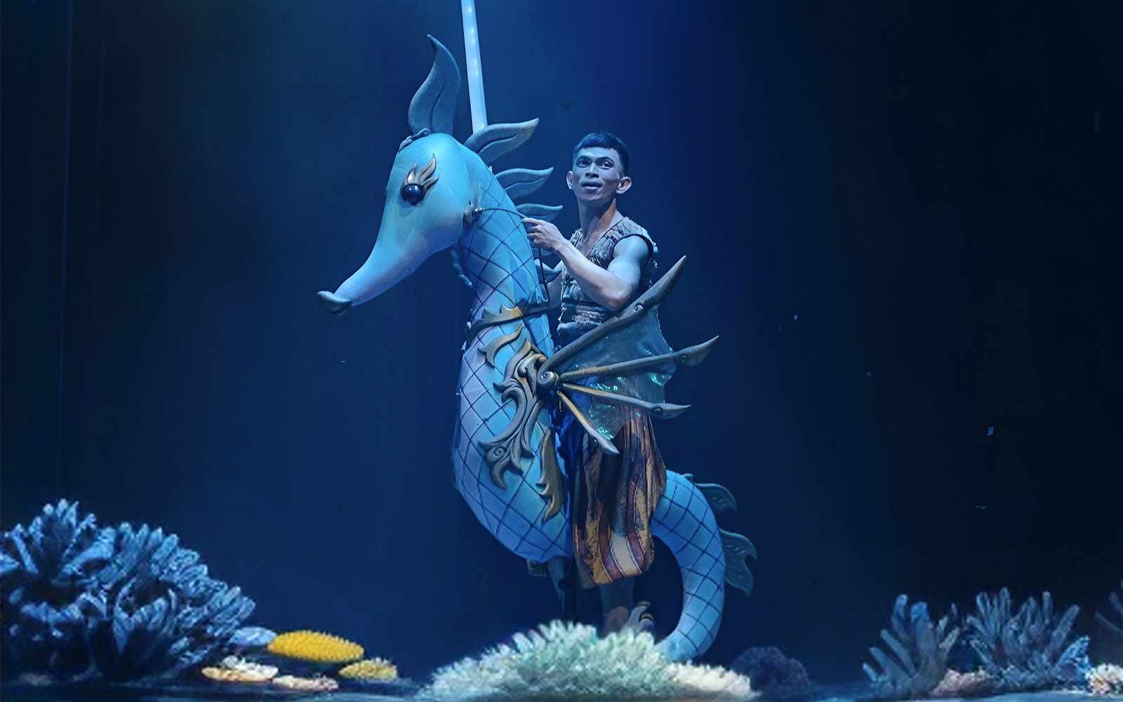Varuna Underwater Show Tickets