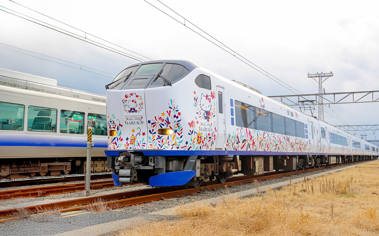 JR Haruka Kansai Airport Express: Train Transfers Between Kansai Airport & Osaka, Nara, or Kyoto — gallery 3
