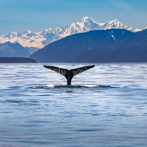 Kaikoura: Small-Group Guided Tour from Christchurch + Lunch — gallery 1