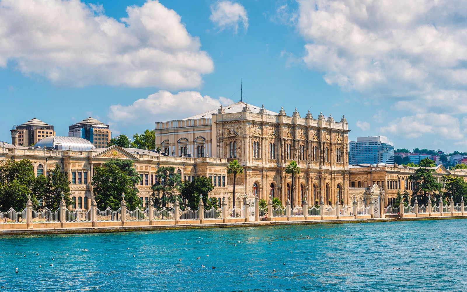 Bosphorus Private Luxury Yacht Cruise with Dinner, Drinks & Transfers