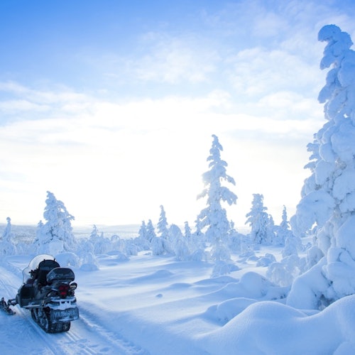 Snowmobile Safari 1 Hour — gallery 1