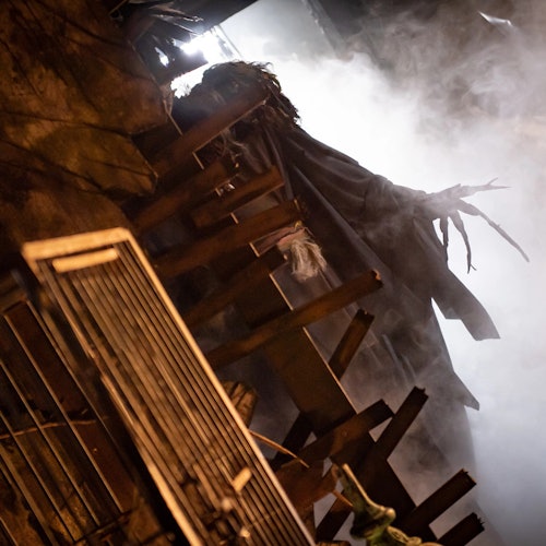 Busch Gardens Tampa Howl-O-Scream — gallery 2