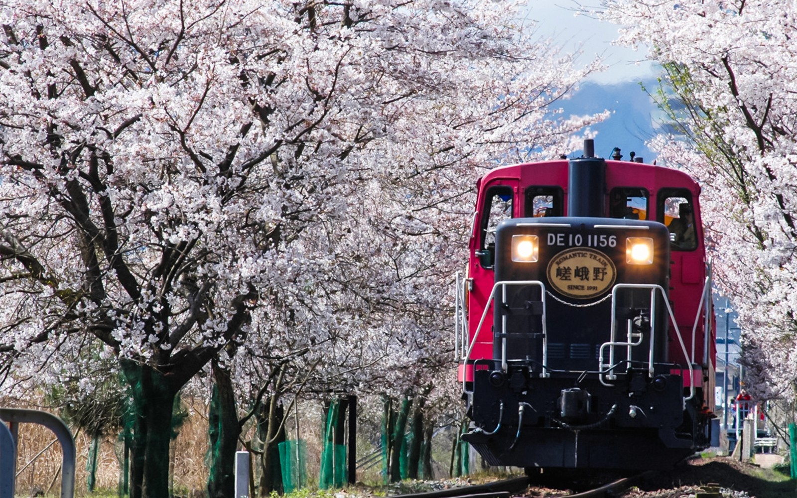 Sagano Romantic Train Ticket: Saga to/from Kameoka — gallery 2