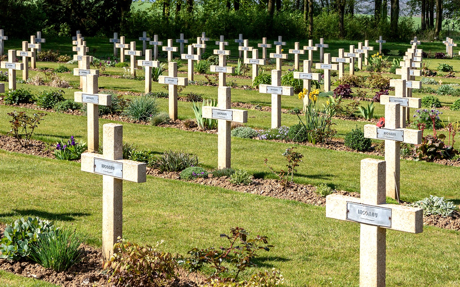 From Paris: WWI Battlefields and Memorials in Normandy Full Day English Guided Tour