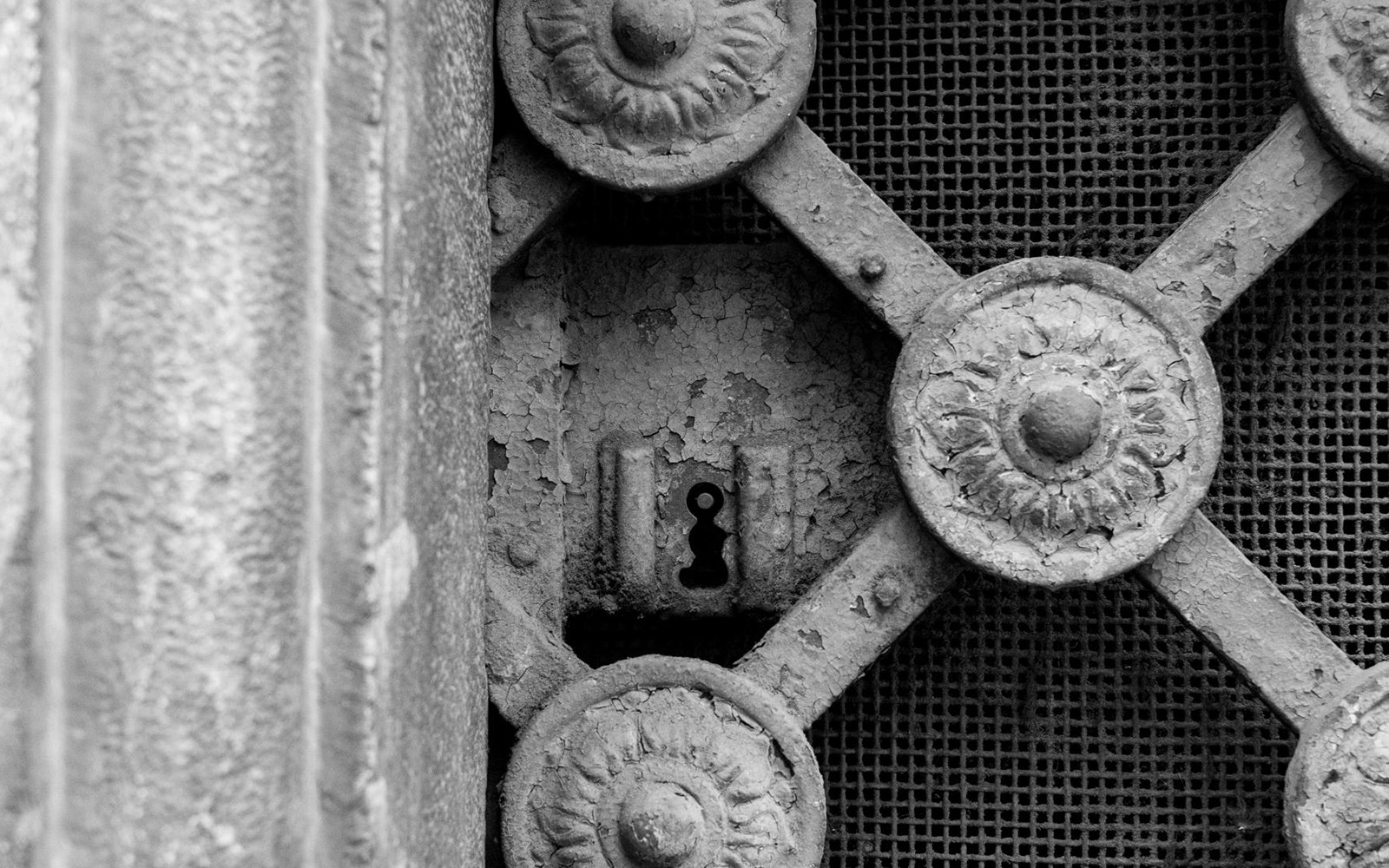 Italian Guided Tour through the Torino Noir