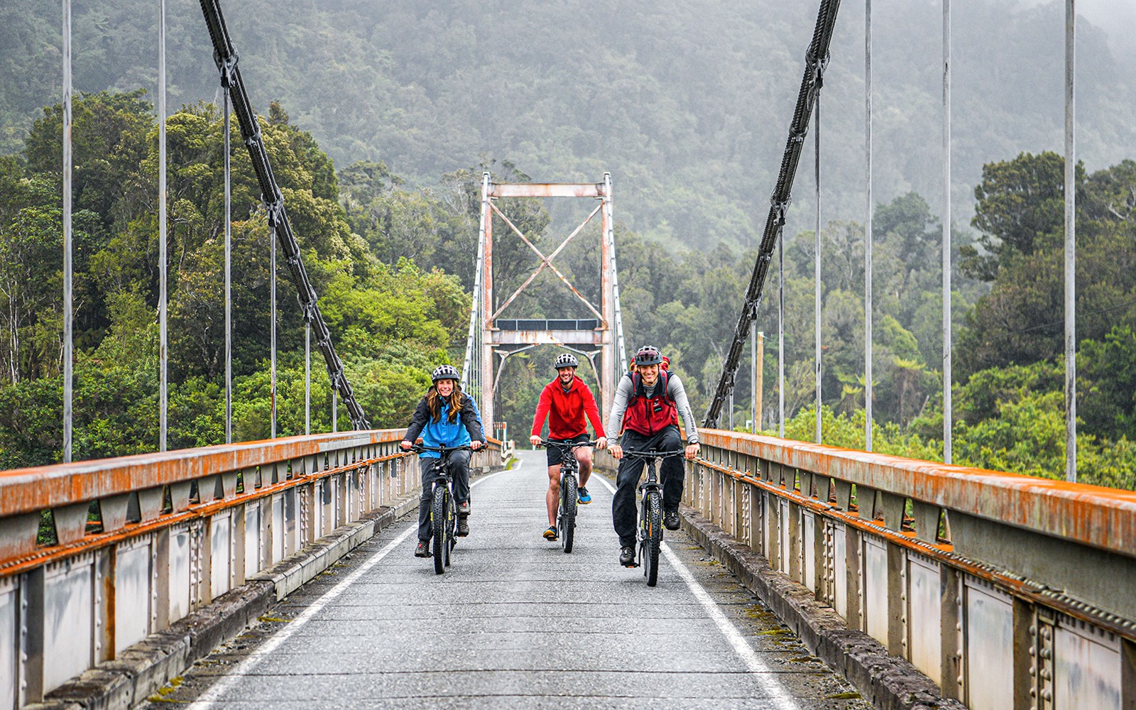 Guided E-Bike & Hiking Fox Glacier Valley Tour — gallery 2