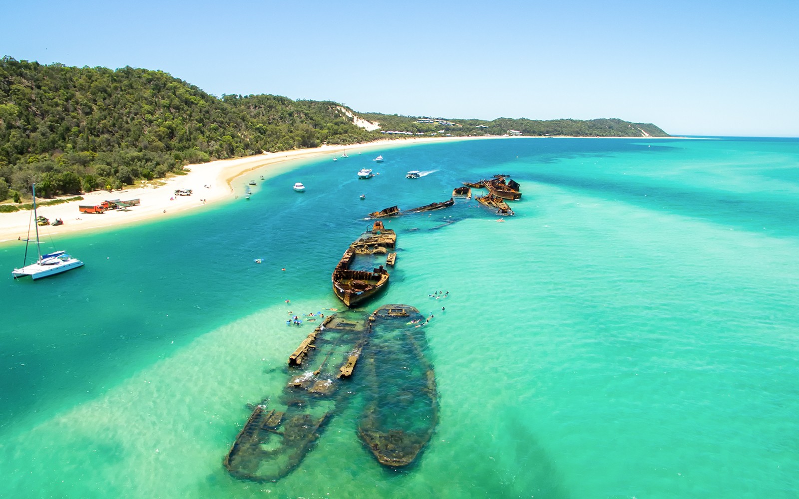 Moreton Island: Tangalooma Scuba Diving Tour — gallery 3