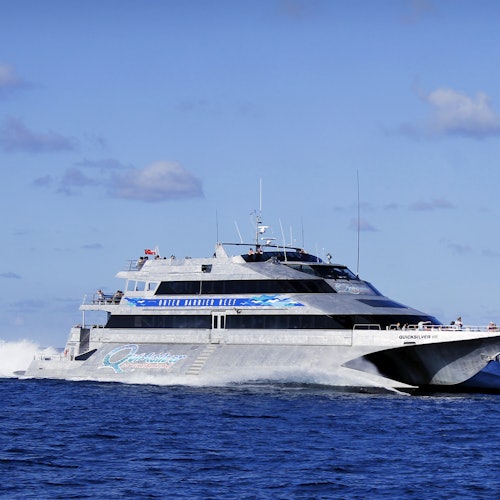 Outer Great Barrier Reef: Boat Tour from Port Douglas + Activities + Lunch — gallery 2