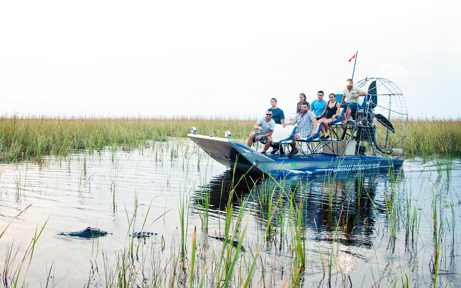 Miami: Sawgrass Recreation Park Airboat Tour at Night — gallery 4