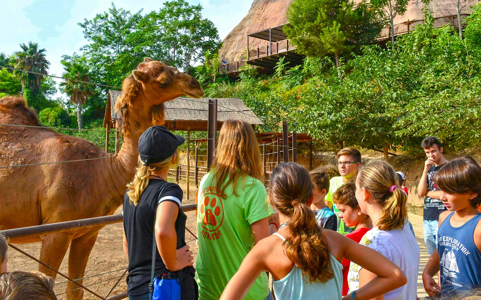 Fast Track Access to Terra Natura Benidorm