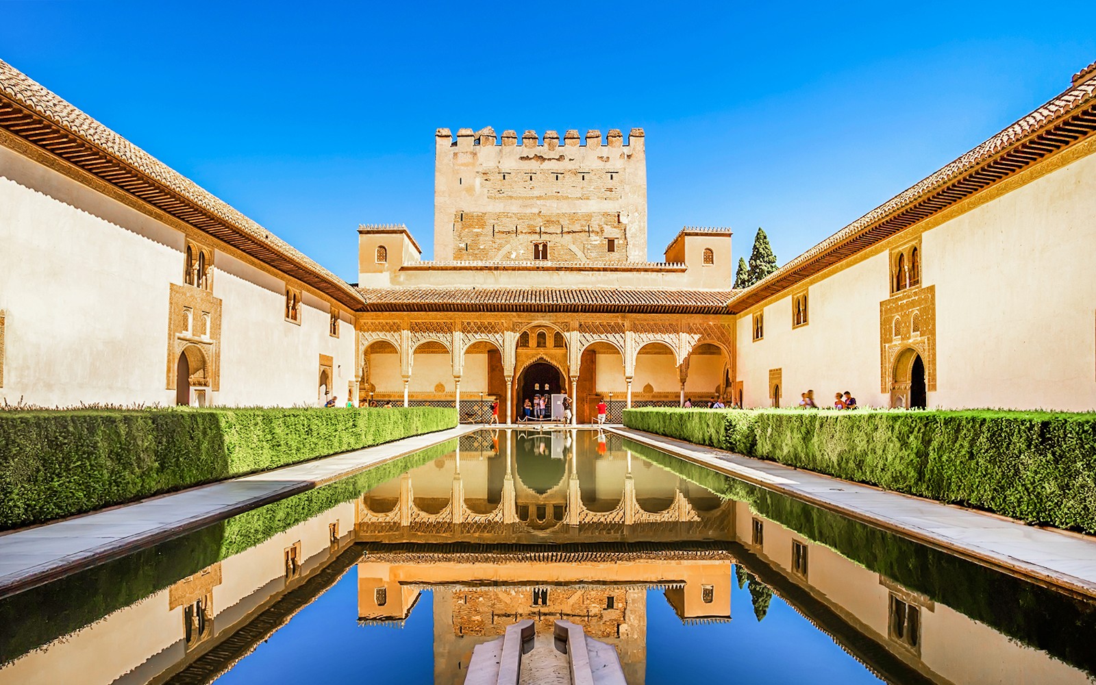 Alhambra & Nasrid Palaces Guided Tour without Entry Tickets