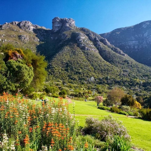 Robben Island & Groot Constantia: Entry Ticket + Boat Transfer — gallery 4