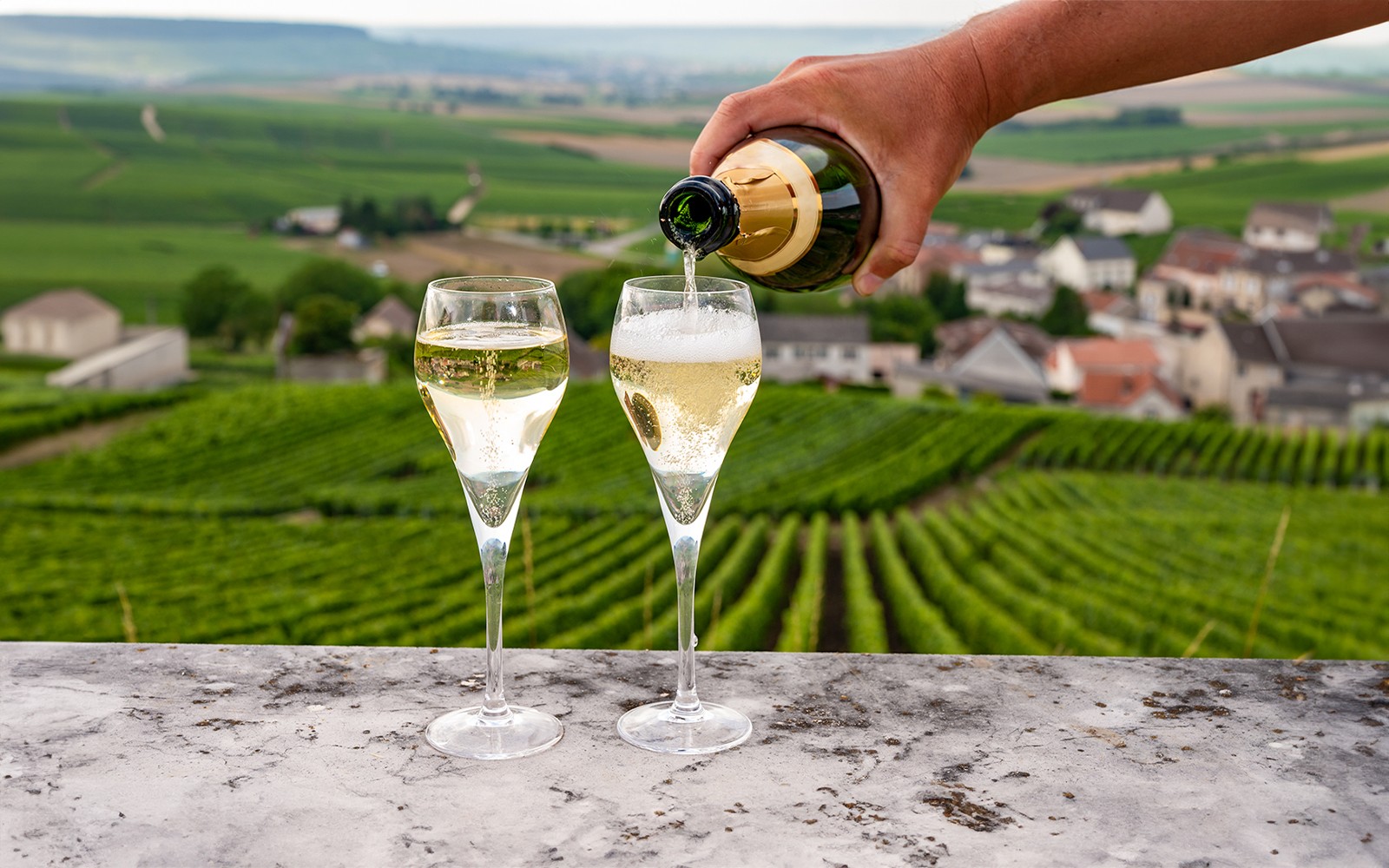 From Paris: All Day Loire Valley Trip with Entry Tickets & Wine Tasting — gallery 4