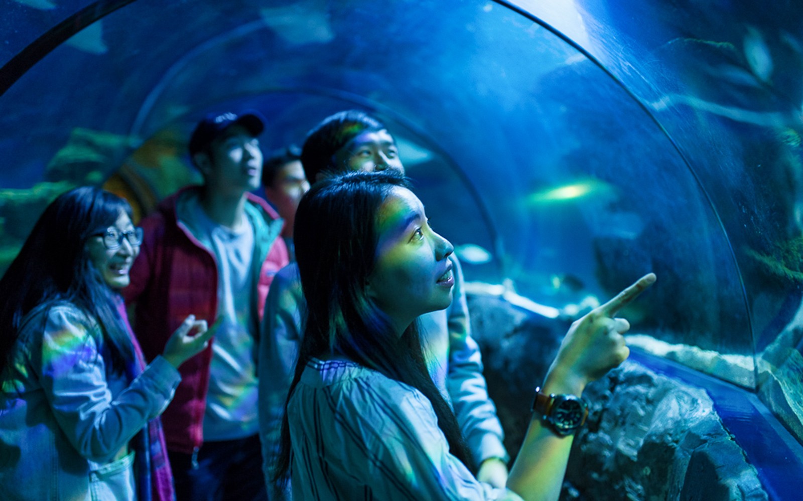 Combo: London Eye + Madame Tussauds + SEA LIFE London Aquarium Tickets