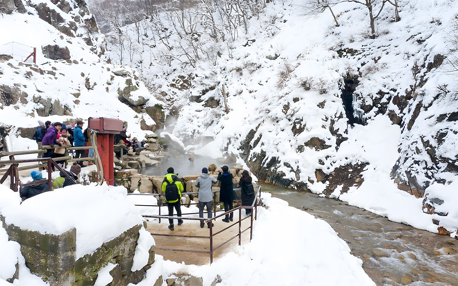 Nagano Snow Monkey Park & Shiga Kogen Maruike Park Day Tour — gallery 4