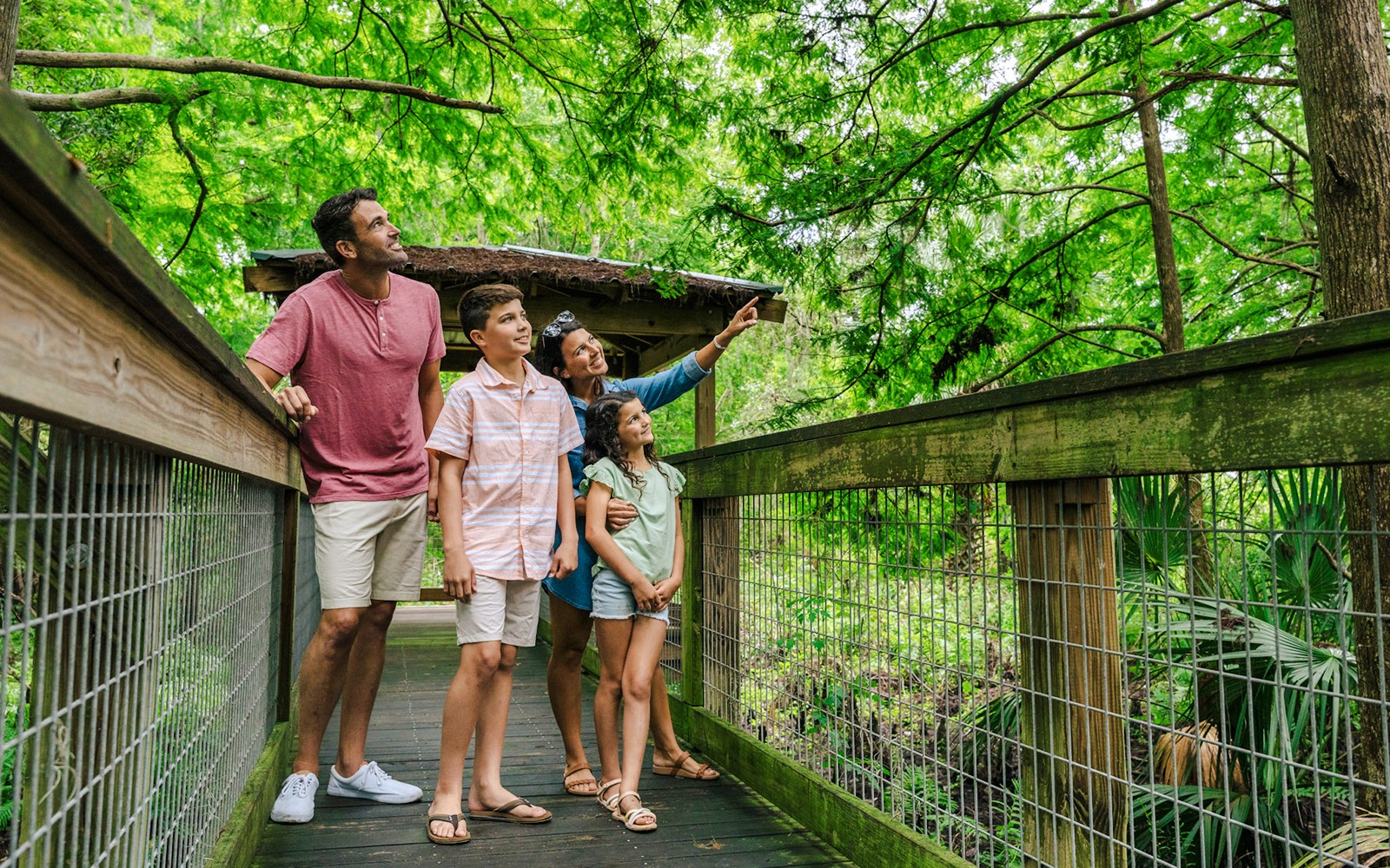 Orlando: Wild Florida Drive‑Thru Safari Park — gallery 2