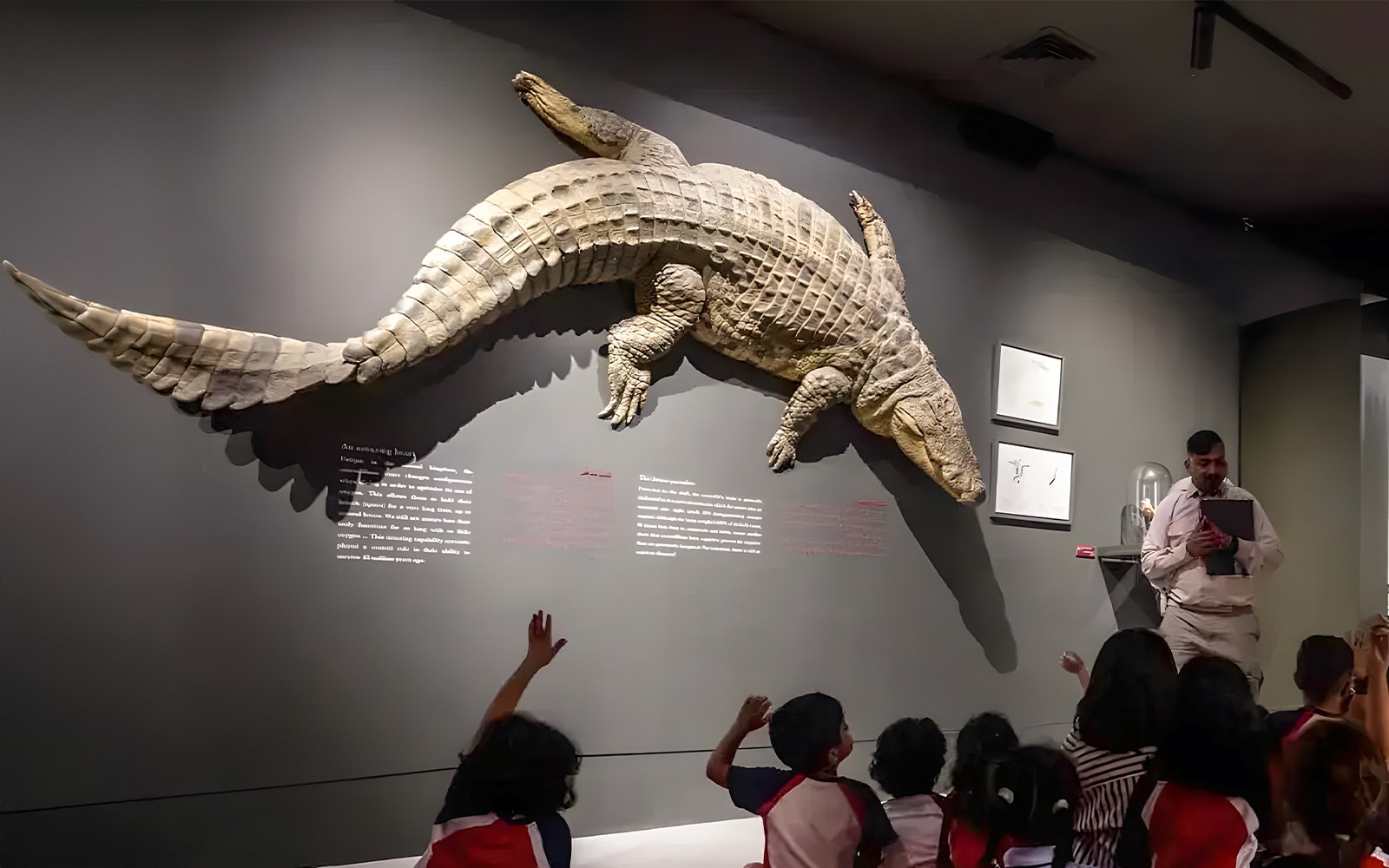 Dubai Crocodile Park Tickets — gallery 2