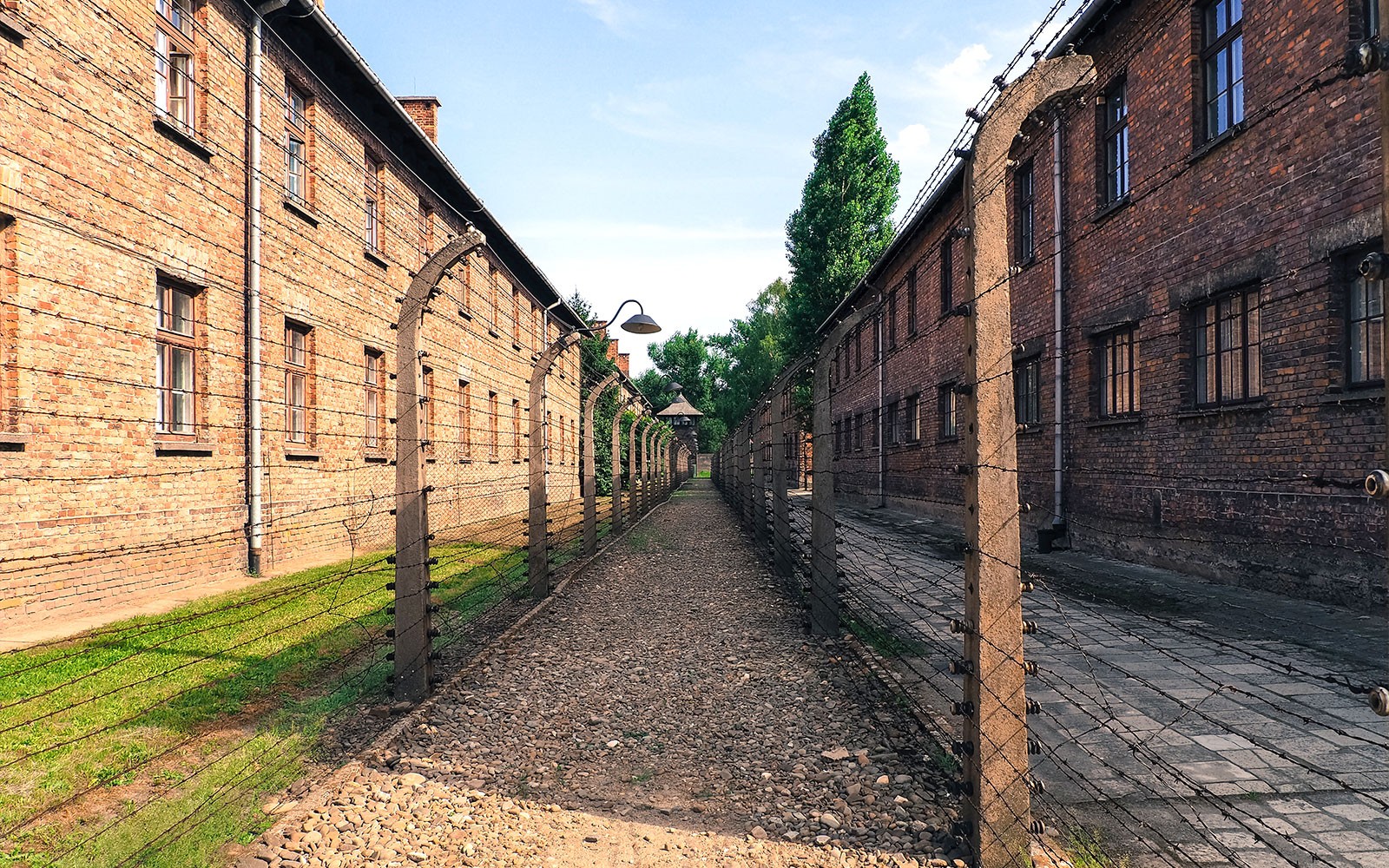 Auschwitz-Birkenau Guided Tour with Fast-Track Tickets & Transfer Options