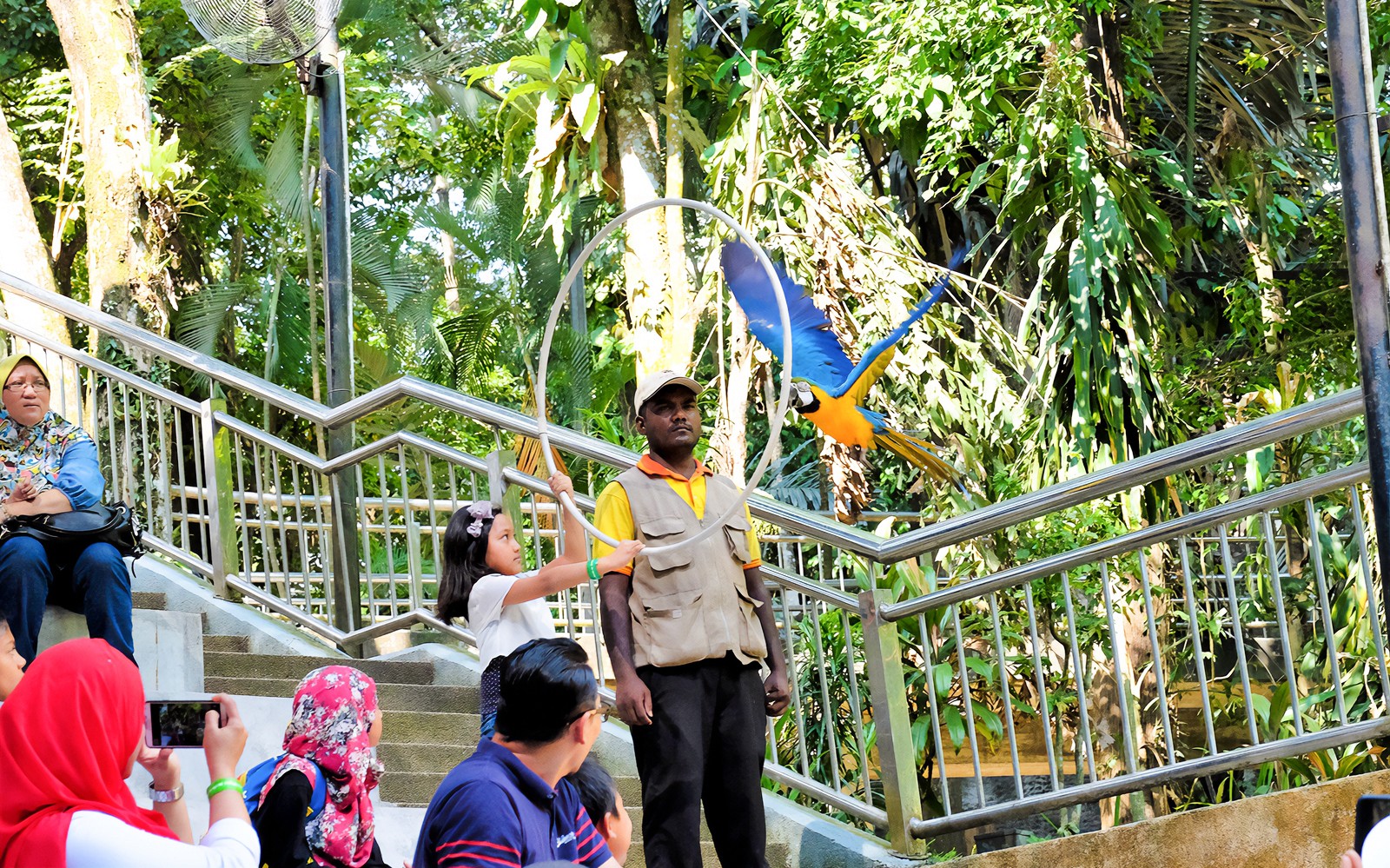 Kuala Lumpur Bird Park, Butterfly Park with Orchid and Hibiscus Garden Day Tour — gallery 1