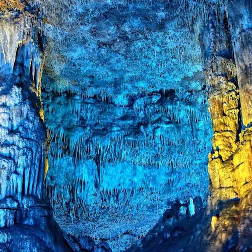 Dinosaurland & Caves dels Hams: Combo Ticket — gallery 3