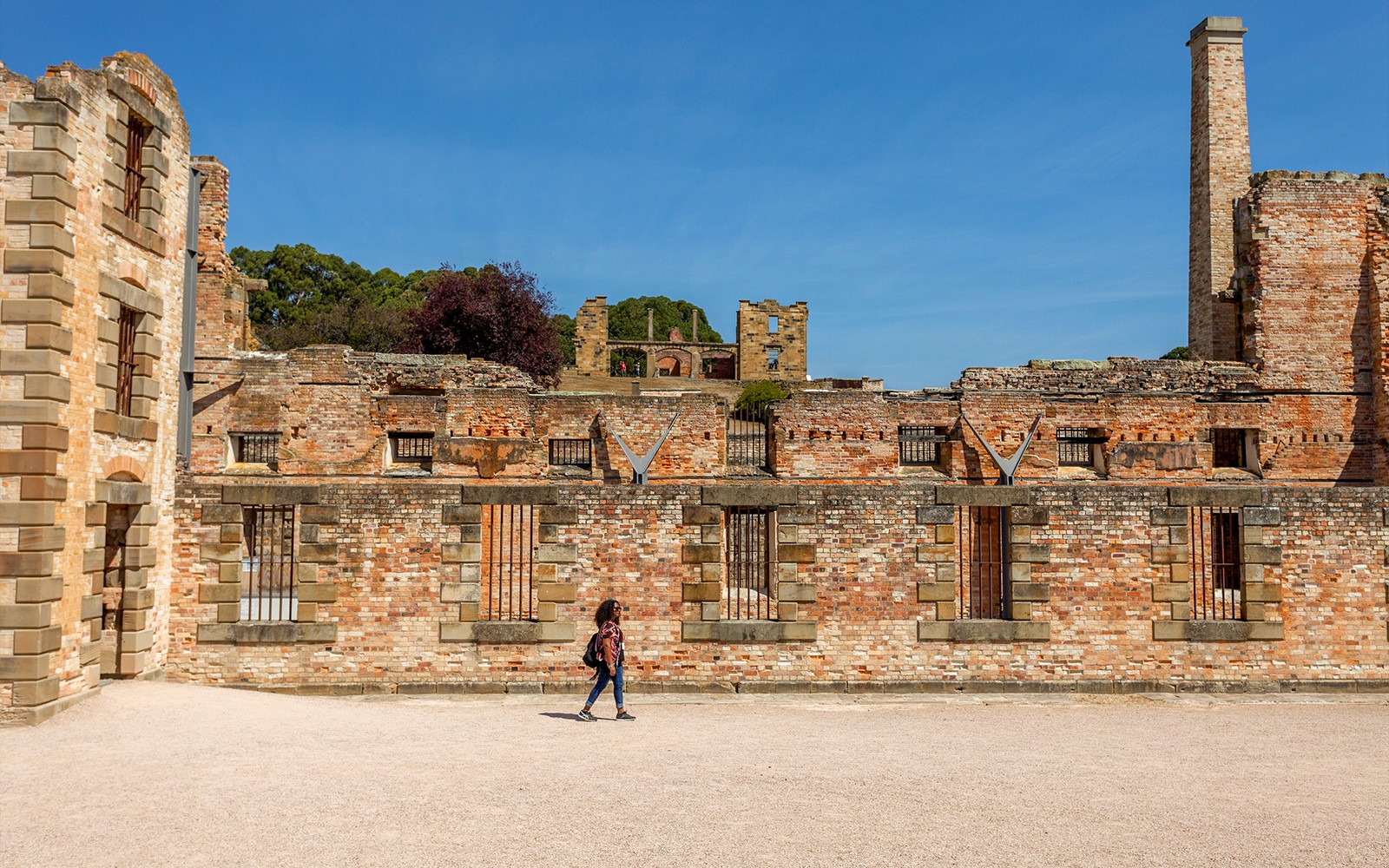From Hobart: Port Arthur & Tasmanian Devils Guided Tour
