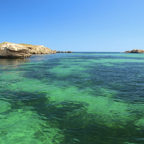 Shoalwater Islands Marine Park: Guided Snorkeling Tour + Lunch — gallery 1