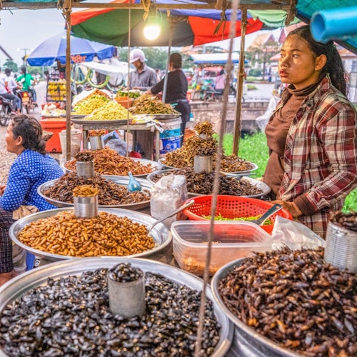 Siem Reap Foodies Vespa Tour — gallery 4