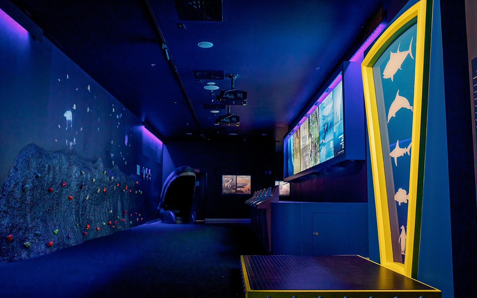 Atlantis Aquarium Madrid Tickets — gallery 4