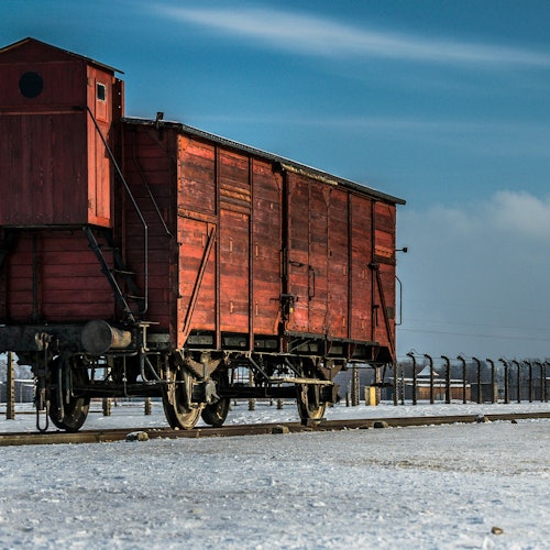 Auschwitz-Birkenau: Guided Tour + Transport — gallery 1