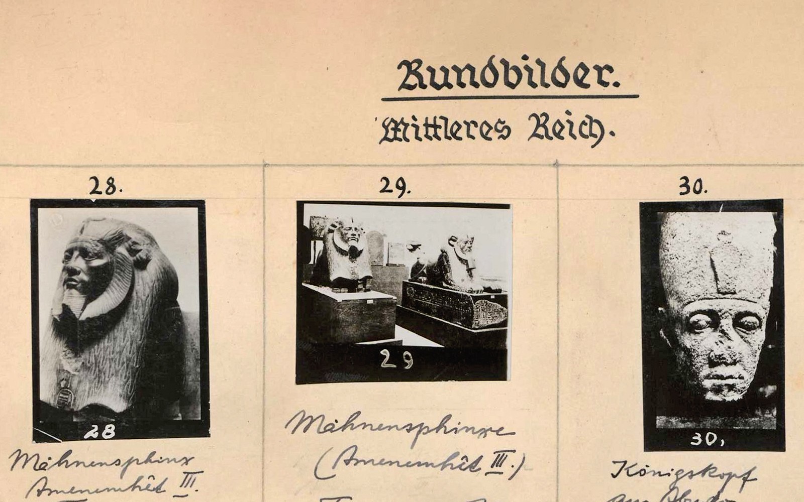 Neues Museum: Entry Ticket