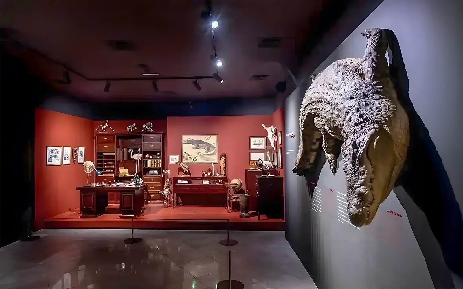 Dubai Crocodile Park Tickets — gallery 4