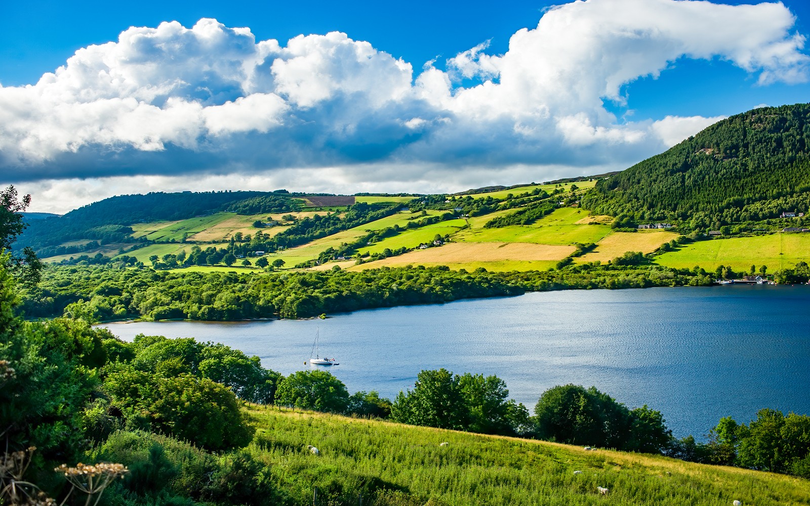 From Glasgow: Loch Ness, Glencoe & The Highlands Small-Group Day Trip