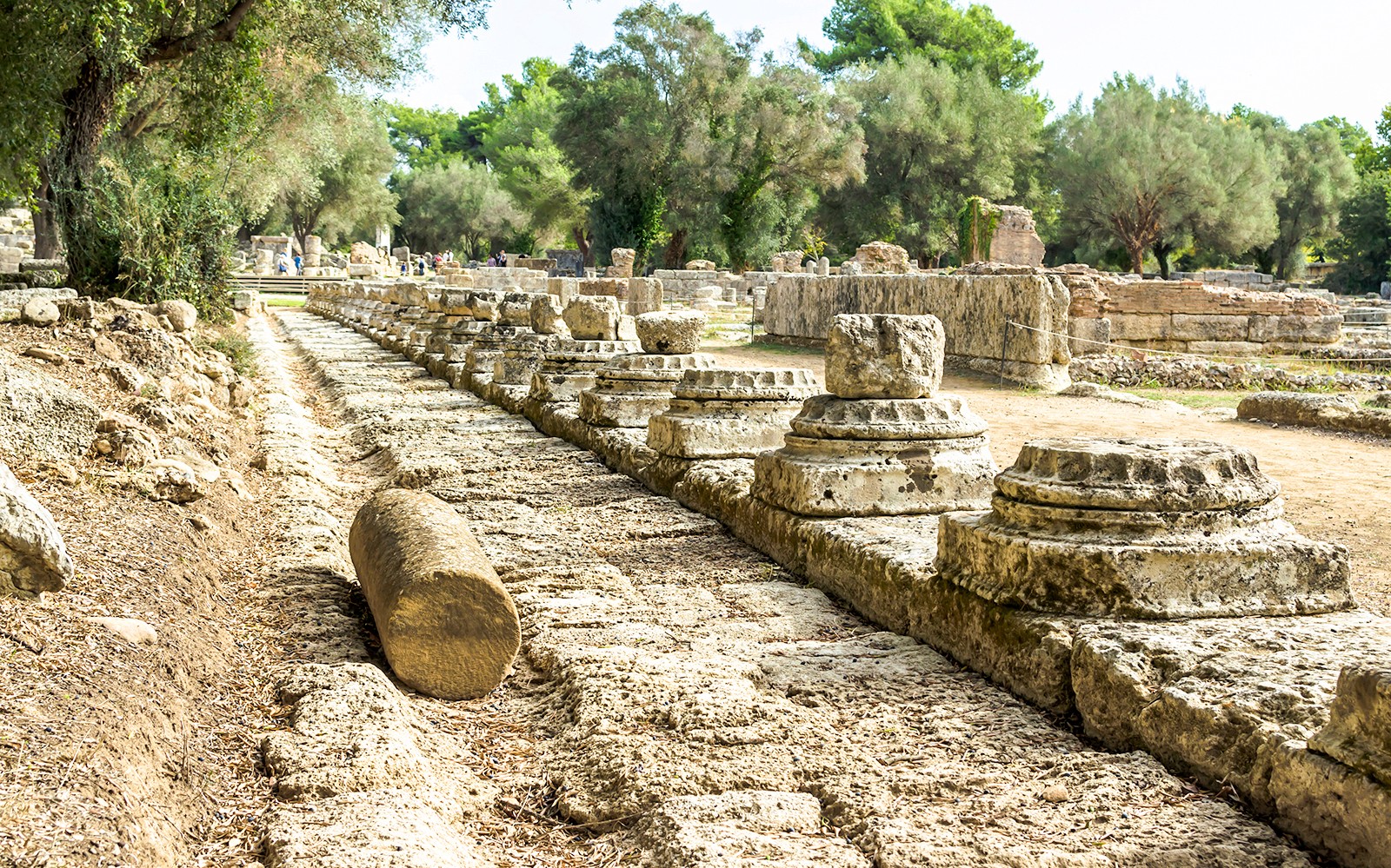Ancient Olympia Archaeological Site & Museum Tickets with Audio Guide — gallery 1