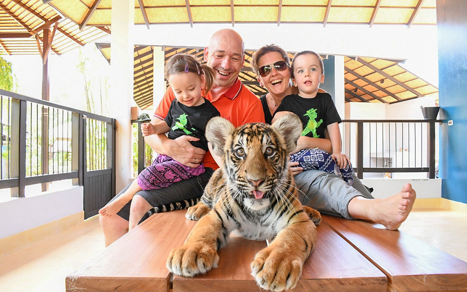 Tiger Park Tickets with Tiger Play Packages: Non-Thai Residents