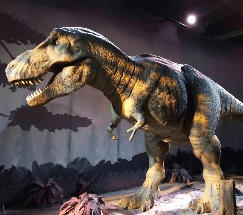 London Natural History Museum Dinosaur Discovery Tour — gallery 1