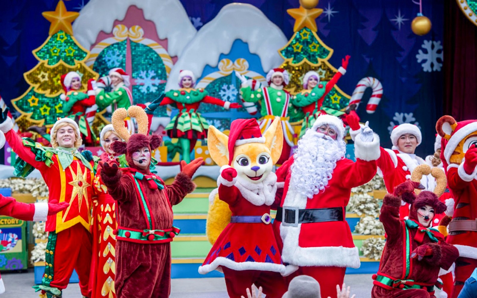 Everland Theme Park Tickets