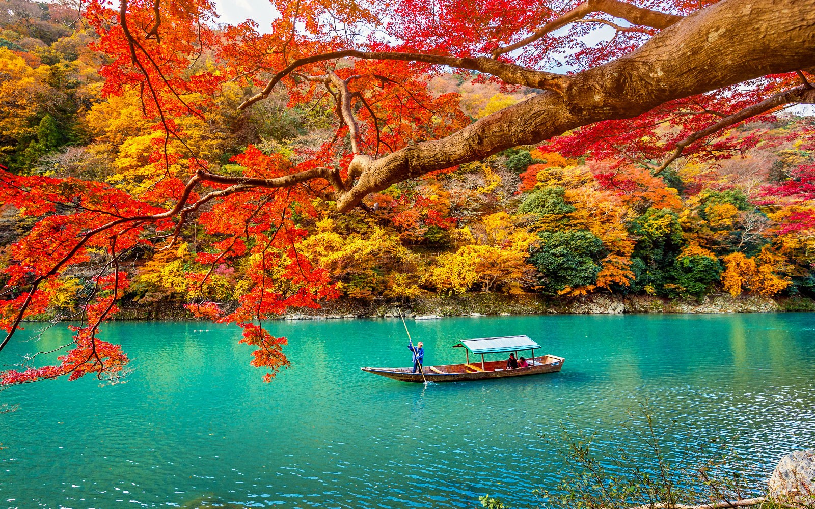 From Osaka: Arashiyama & Bamboo Grove Tour — gallery 2