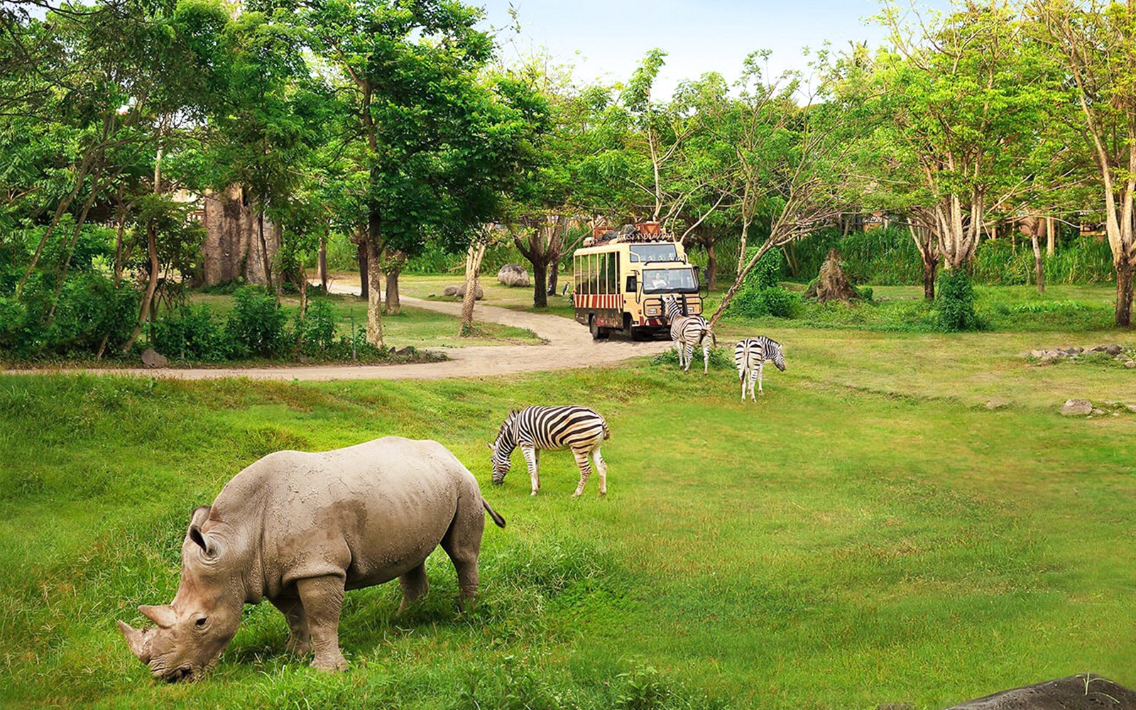 Jungle Hopper Safari Tickets — gallery 1