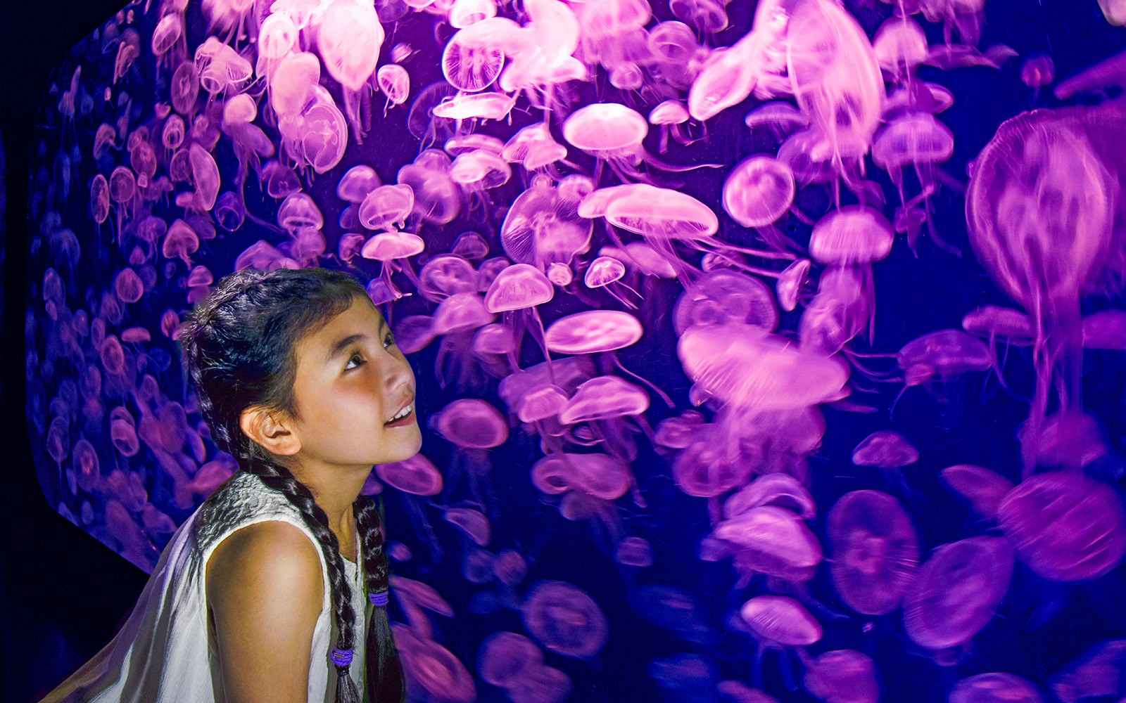 Singapore Oceanarium Tickets