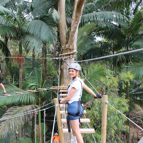 TreeTop Challenge – Currumbin Adventure Park — gallery 1
