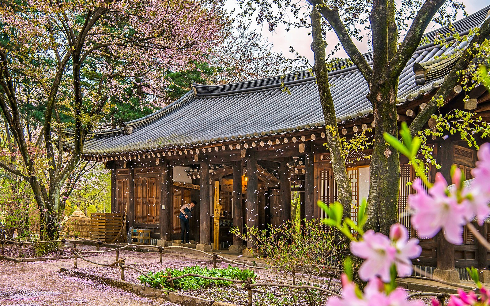 Nami Island & Mount Seorak Day Tour — gallery 1