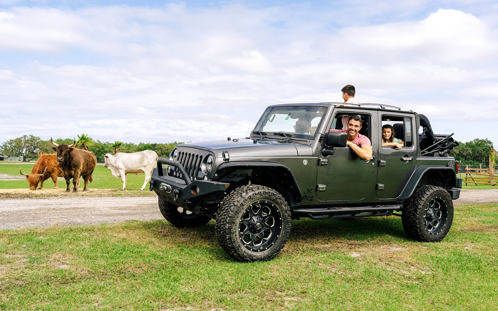 Orlando: Wild Florida Drive‑Thru Safari Park — gallery 4