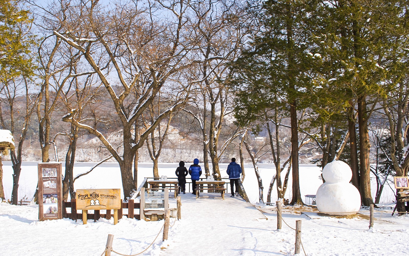 From Seoul: Alpaca World, Nami Island & Garden of Morning Calm Day Trip — gallery 2