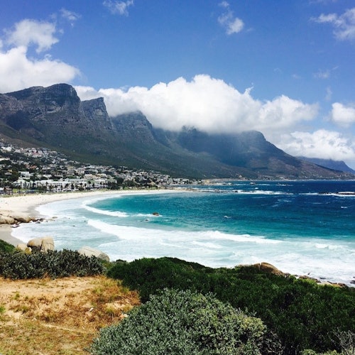 Cape Town & Table Mountain: Guided Tour + Roundtrip Transfer — gallery 1