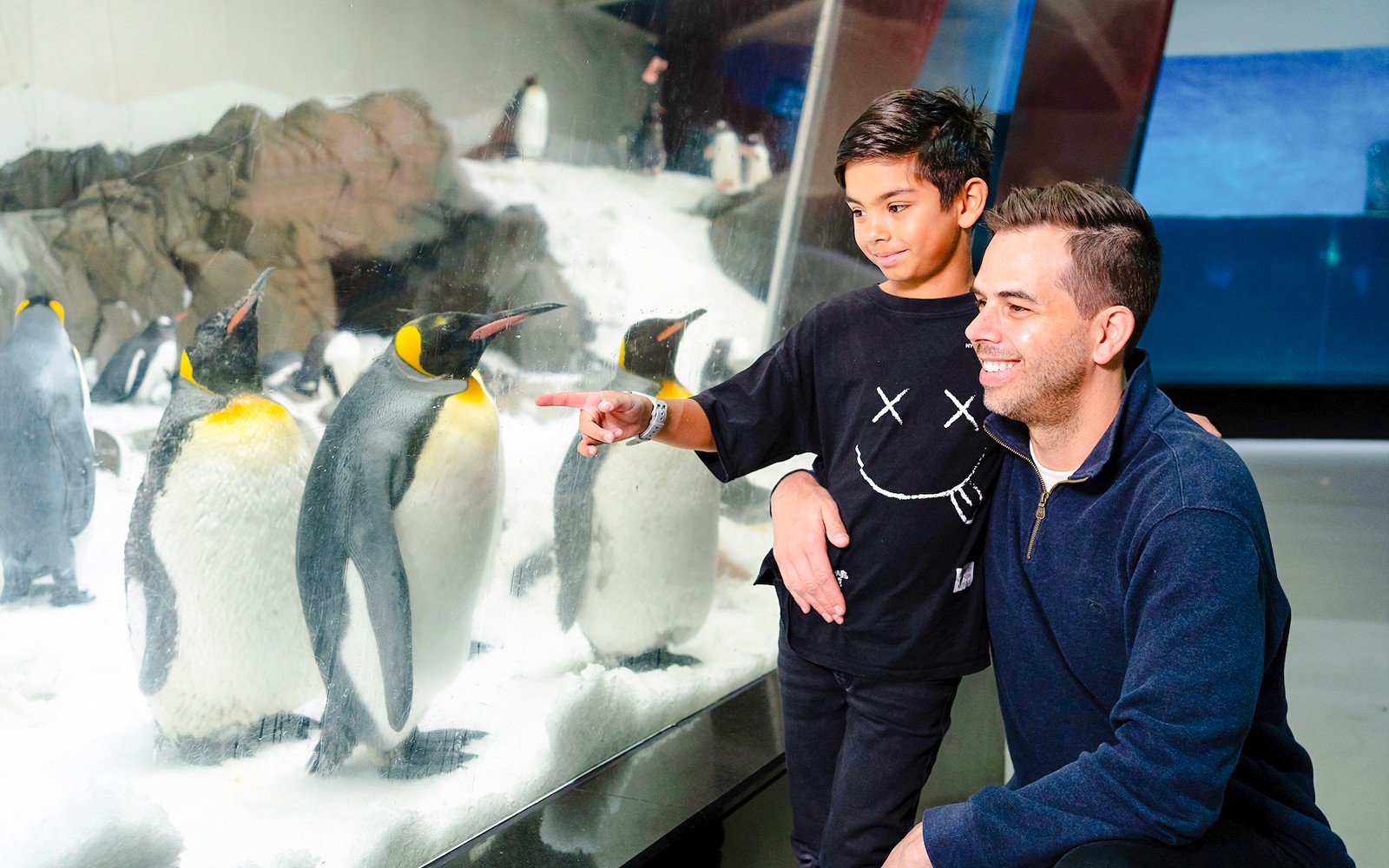 Penguin Passport Tickets: Guided Encounter at SEA LIFE Melbourne Aquarium