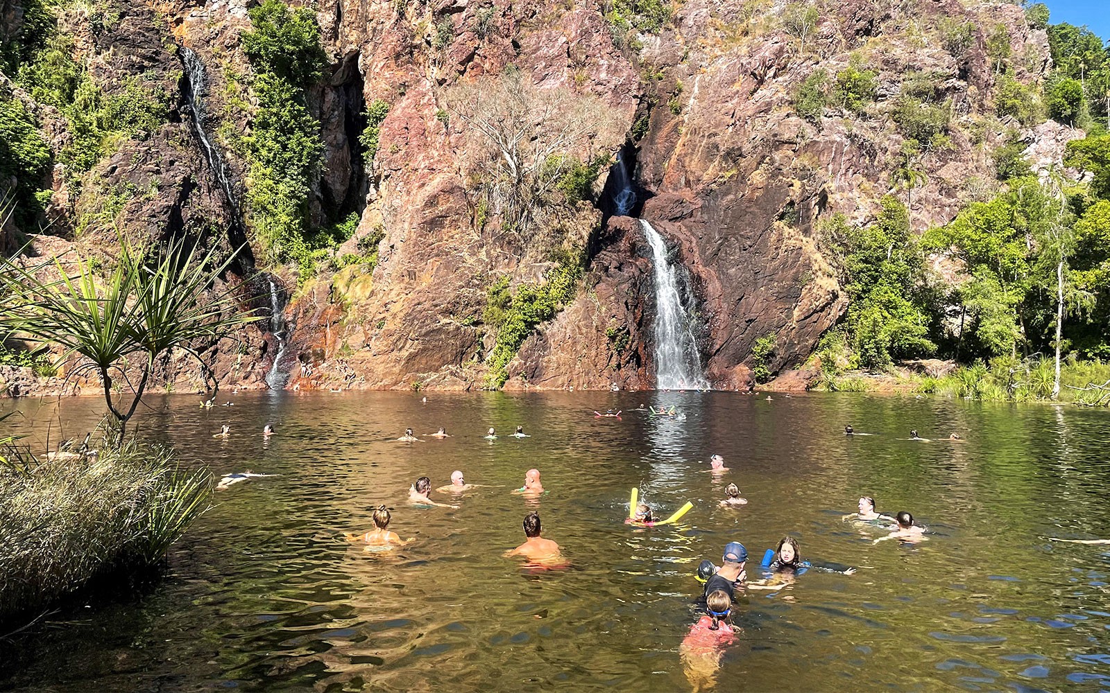 From Darwin: Litchfield National Park Day Tour with Optional Lunch
