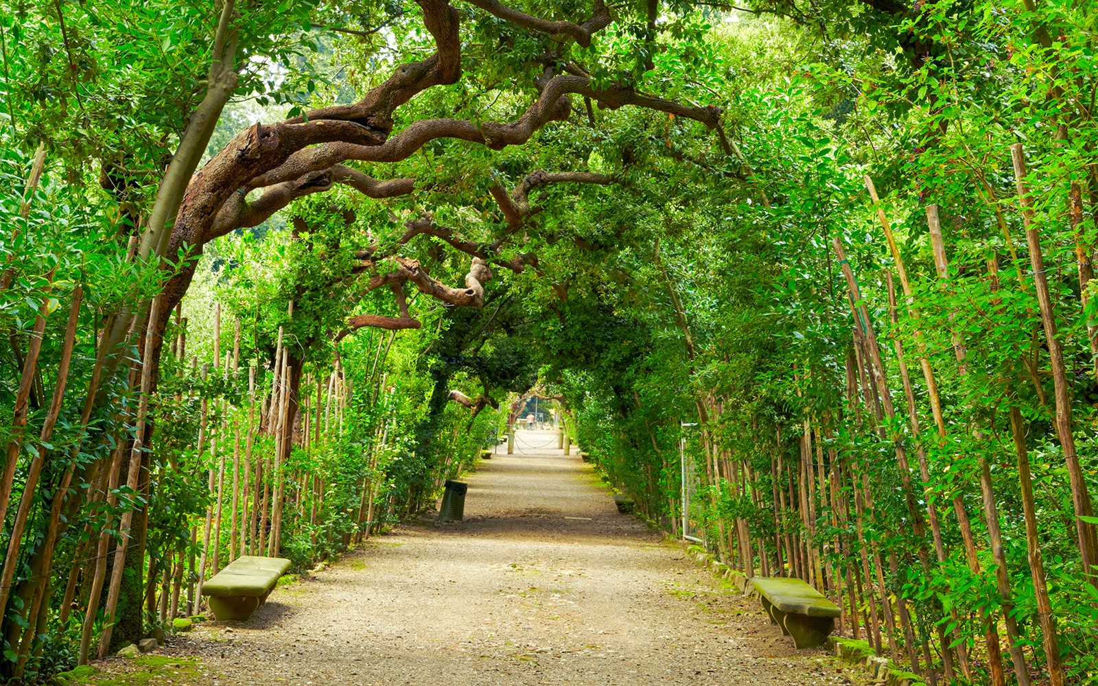 Pitti Palace, Palatine Gallery & Boboli Gardens Guided Tour