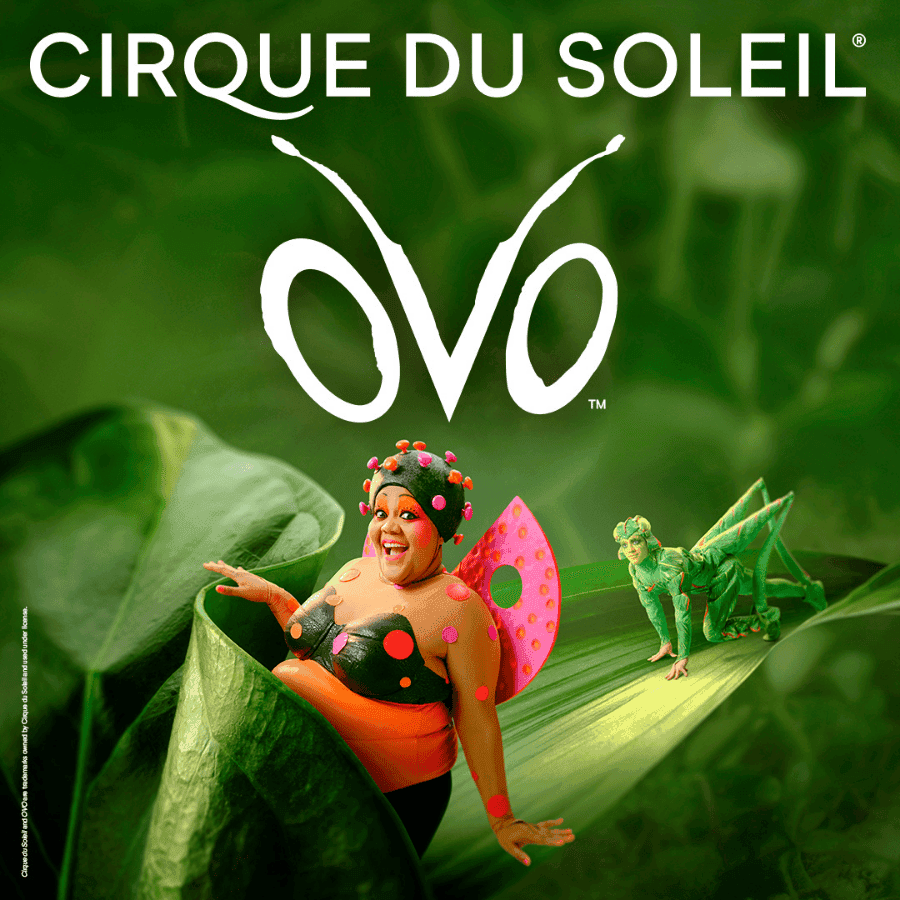 Cirque du Soleil OVO — mobile