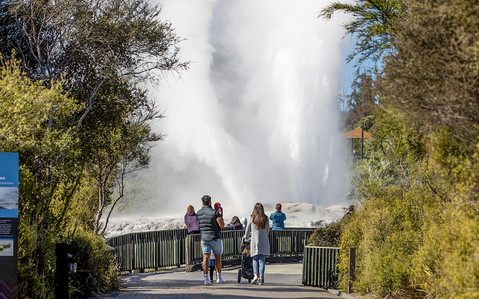 Te Puia: Te Rā Guided Experience + Haka Combo — gallery 1